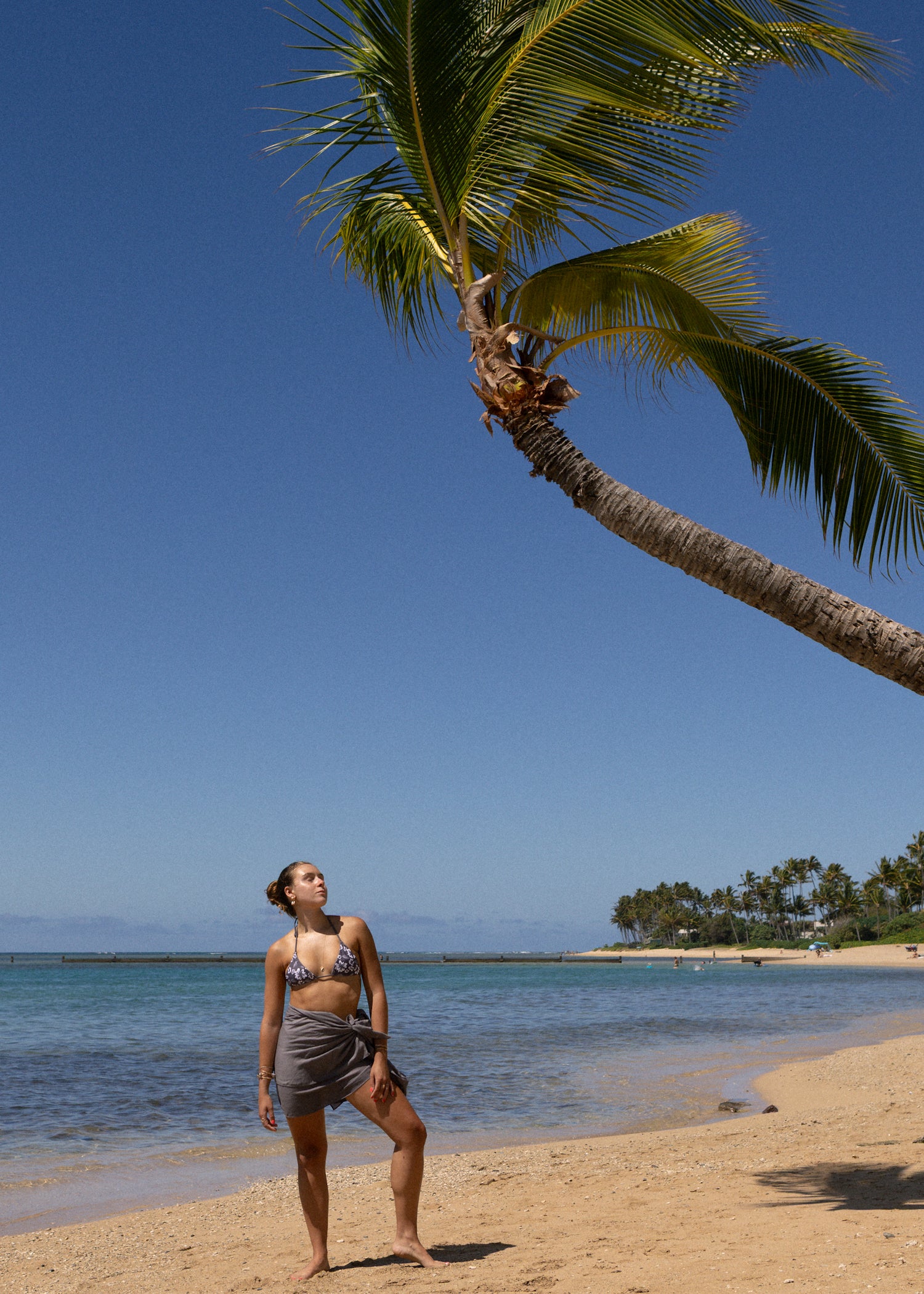 Pareo - Tropical Storm