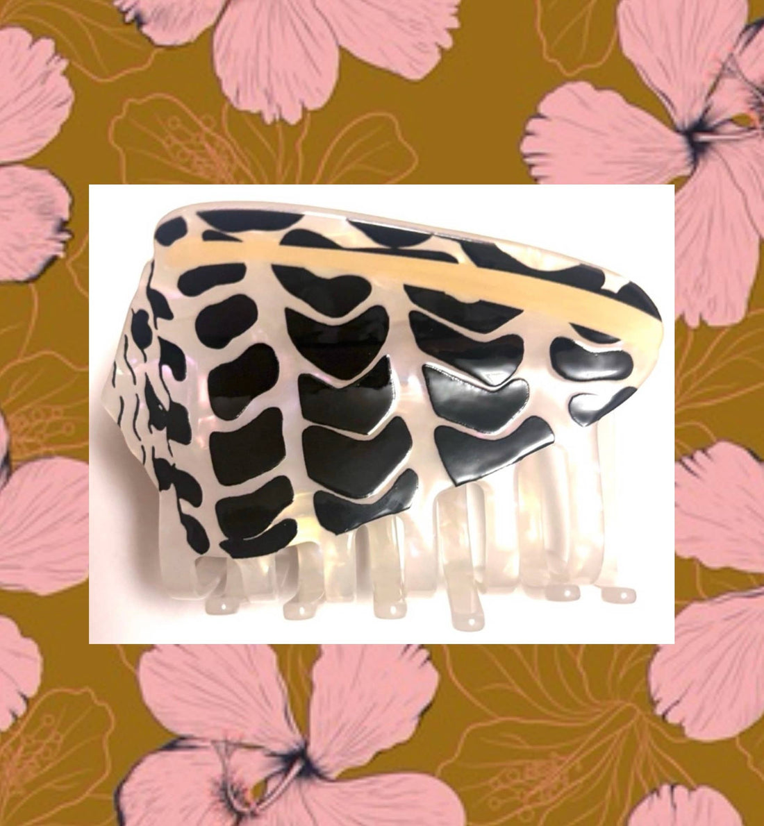 Hebrew Cone Shell Clip